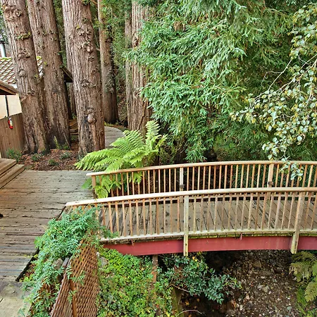 Mill Valley Inn-3