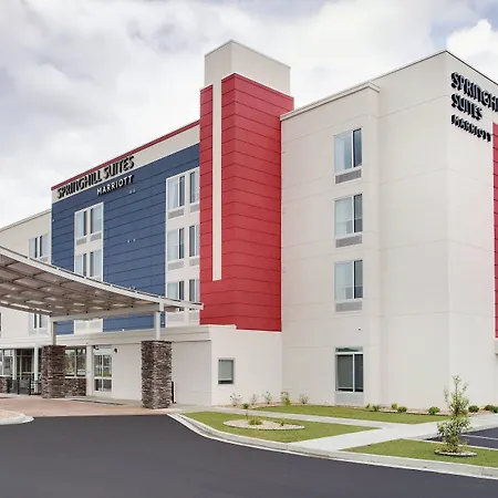 Springhill Suites By Marriott Murray-3