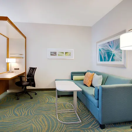 Springhill Suites By Marriott Murray-2
