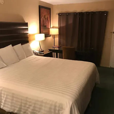 Discovery Inn-2