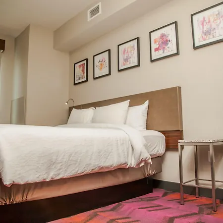 Hilton Garden Inn Tampa Suncoast Parkway-3