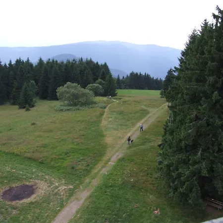 Berggasthof&Hotel Brend-2