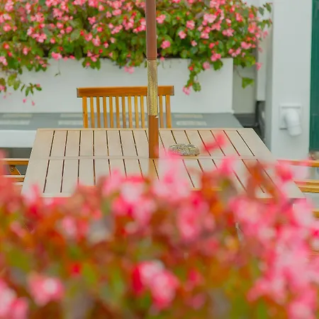 Comercial Boutique Guest House-2