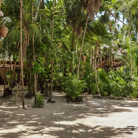 Dos Ceibas Tulum - Feel Good Hotel-3