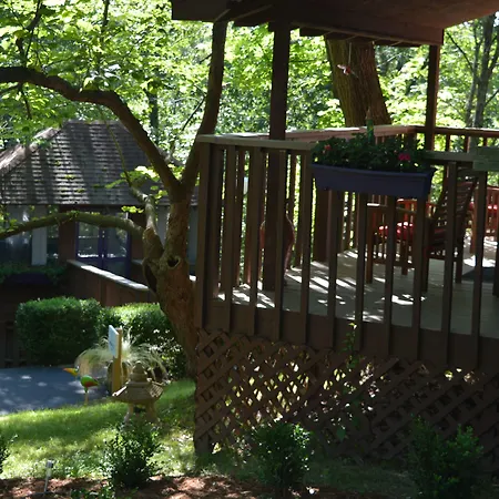 The Woods Cabins-2