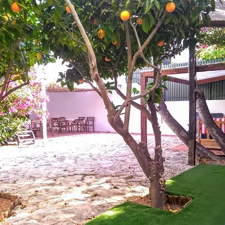 Roaz De Bandeira Guesthouse-2