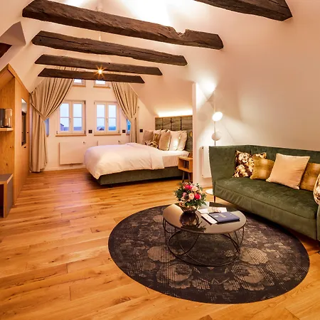 Hotel Brunnenhaus Schloss Landau-3