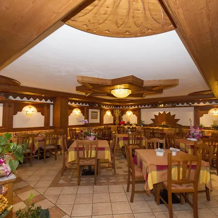 Hotel Orchidea-2