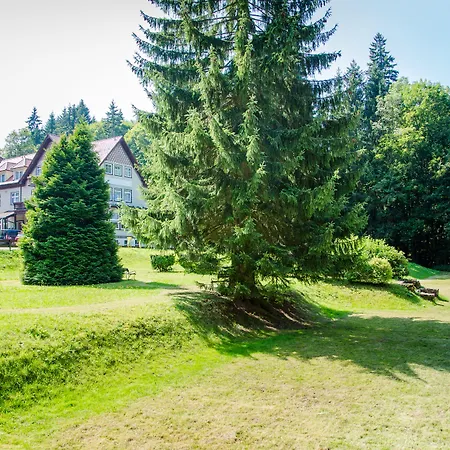 Waldhotel Friedrichroda-2