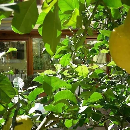 Hotel Select Garden-2