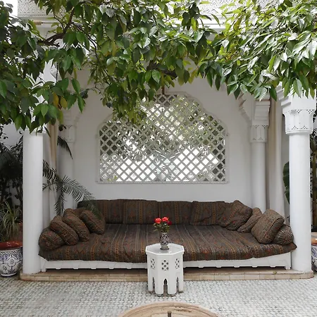 Riad Ifoulki-2