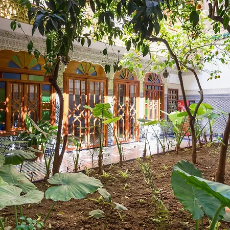 Riad Les Chrifis Navette Aeroport 24 Sur 24-3