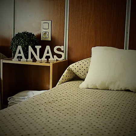 Hostal Anas-3