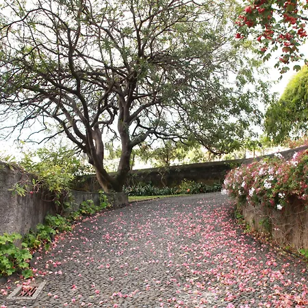 Quinta Das Malvas - Quinta De Santa Luzia-3