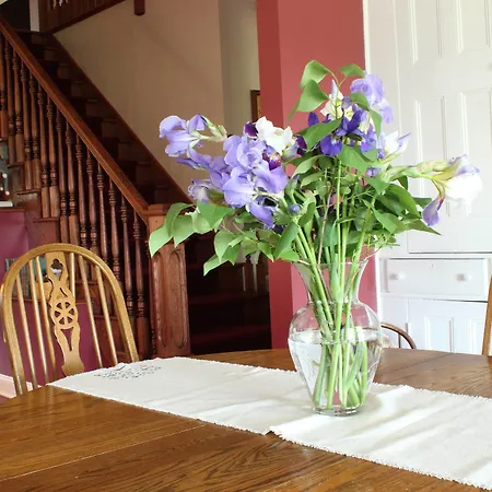 Maple Shade Bed & Breakfast-3