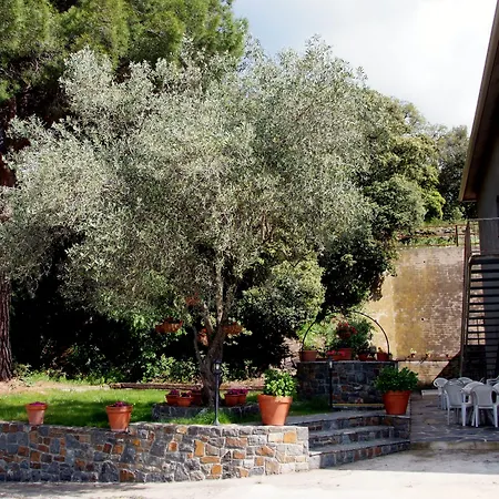 Hostal Montserrat-2
