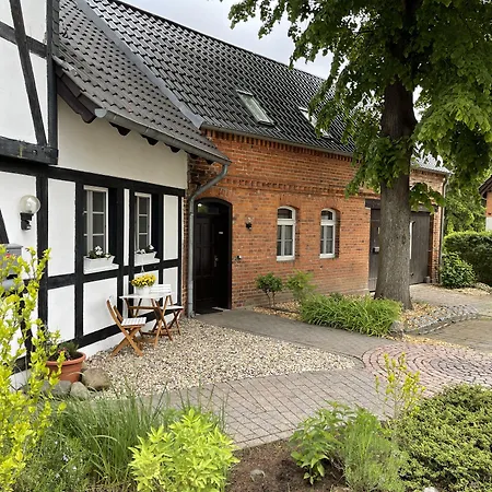 Hotel Luther Birke Wittenberg-2