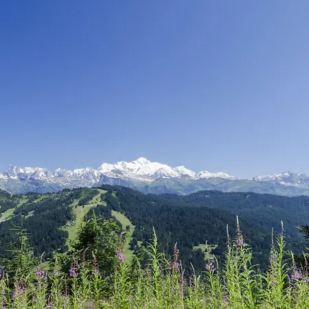 Chalet Bluebell-2