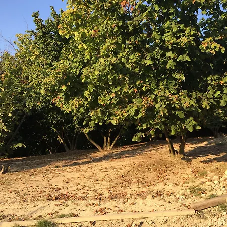 Cascina Baresane-3