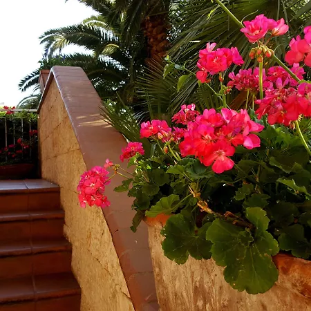 Residence Orchidea-3