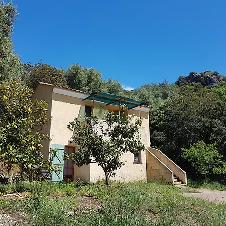 A Casa Di L'Alivu-2