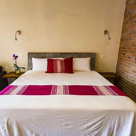 Casa De La Ballena (Adults Only)-2