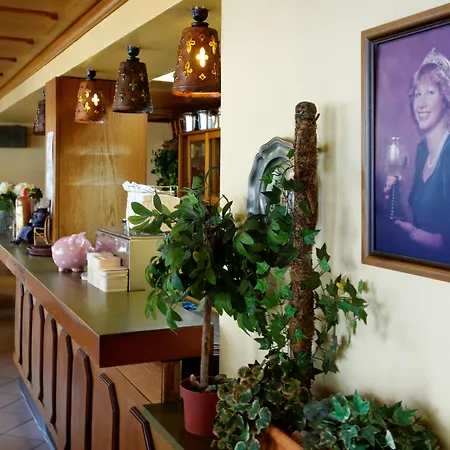 Hotel Haus Sonnschein-3
