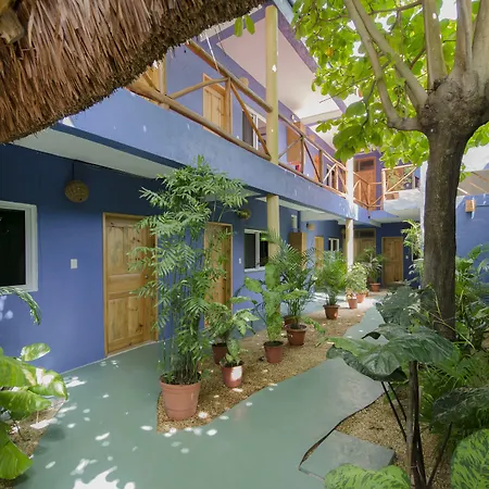 Casa Almendro-3