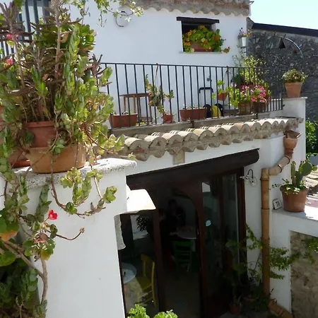 B&B Amphisya-3