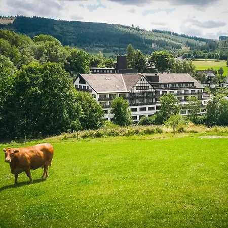 Sauerland Alpin Hotel-3