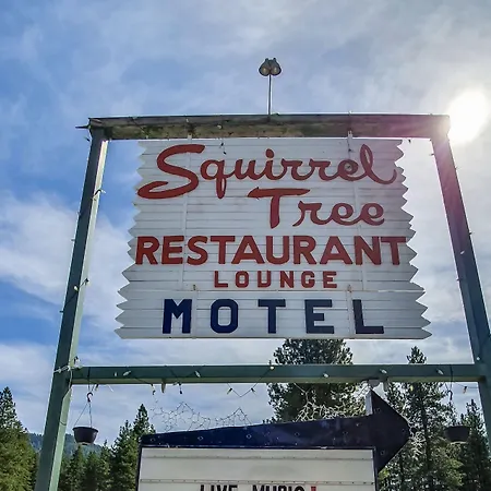 Squirrel Tree Resort-2