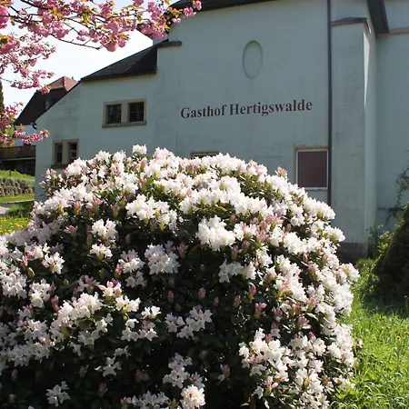 Gasthof Hertigswalde-3
