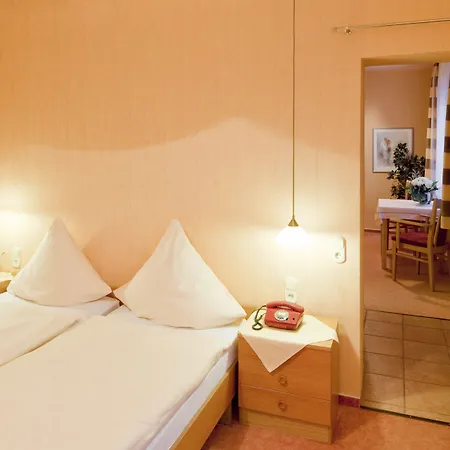 Hotel Birkenstern-3