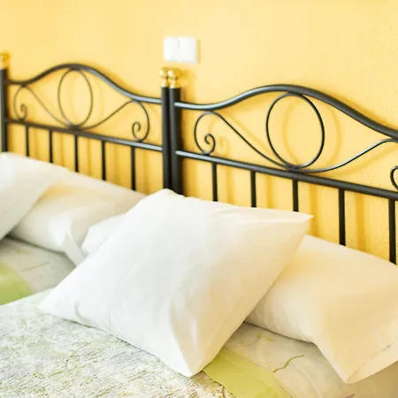 Hostal Los Alpes-2