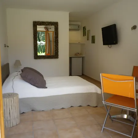 Chambres d'hôtes Villa Alizé-3