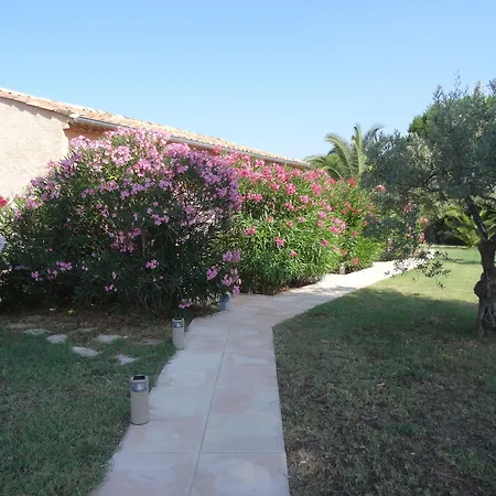 Chambres d'hôtes Villa Alizé-2