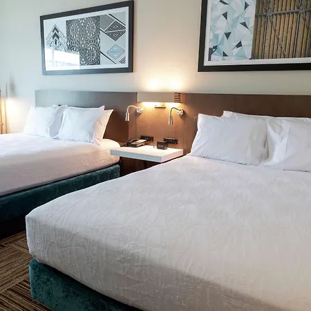Hilton Garden Inn Spartanburg-3