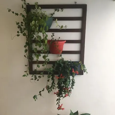 Pousada Bertioga-3