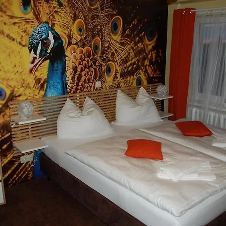CASILINO Hotel A 24 Wittenburg-3