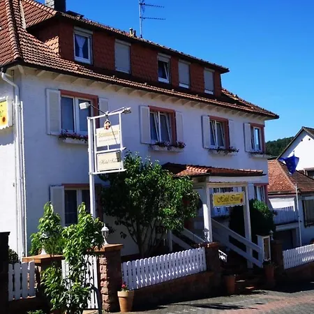 Hotel Irene-3