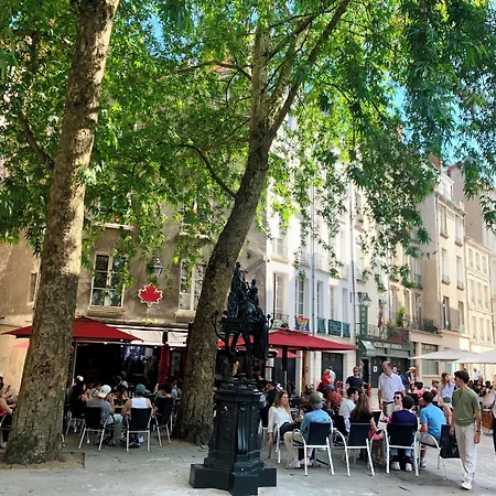 Hôtel Saint-Patrick-3
