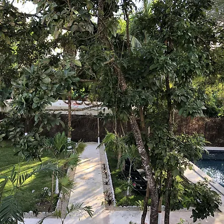 Tierra Maya Hotel Spa & Sanctuary-3