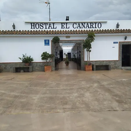 Hostal El Canario-3
