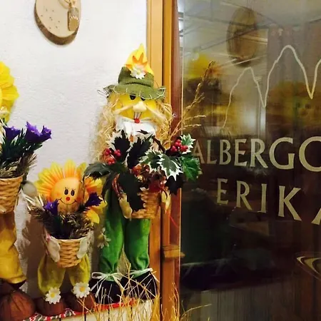 Albergo Erika-2