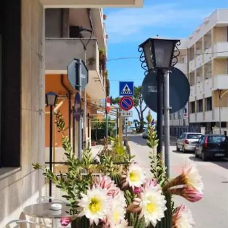 Hotel Blurelda-2