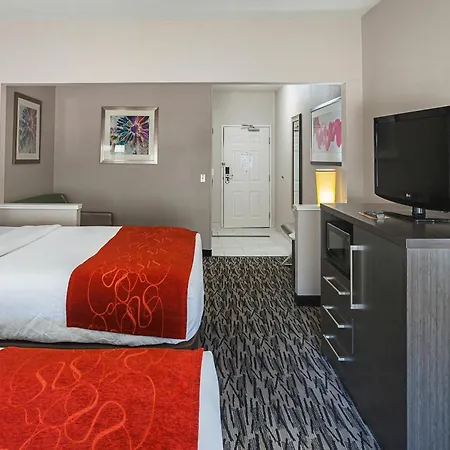 Comfort Suites Lewisville - Dallas-3