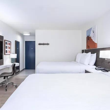 Spark By Hilton Clarion-3