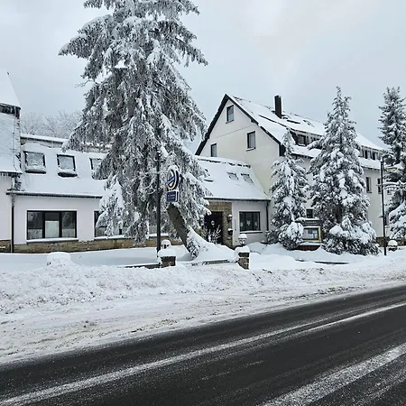 Familien-Hotel Am Tränkbachtal Frauenwald-3