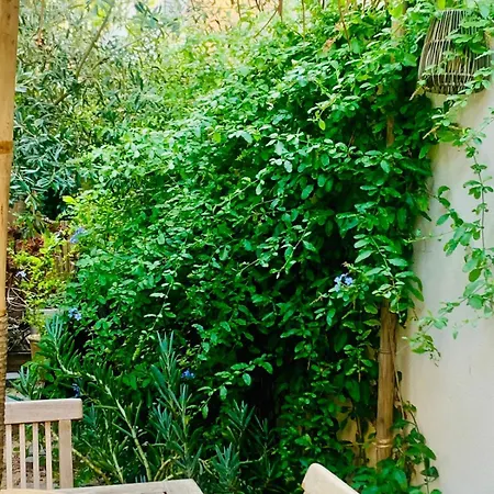 La Maison narbonnaise-3