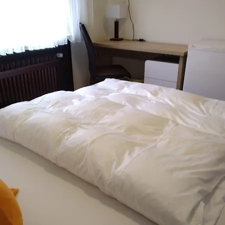 Hotel Zentrum-2